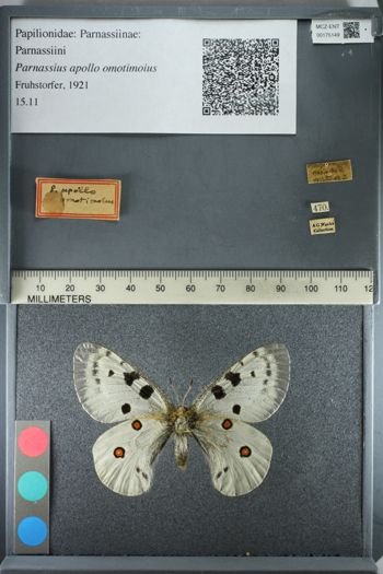 Media type: image;   Entomology 175149